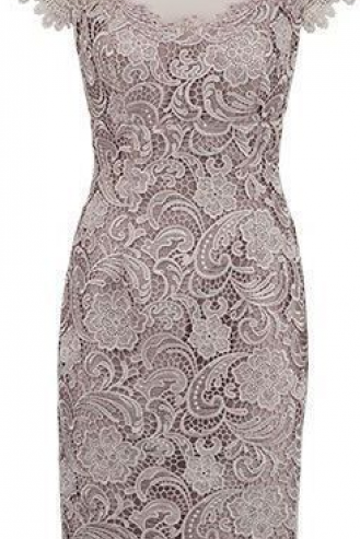 Cap Sleeves Grey Lace Short Mother of The Bride Dress